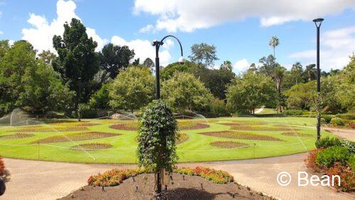 ブリスベンシティー植物園