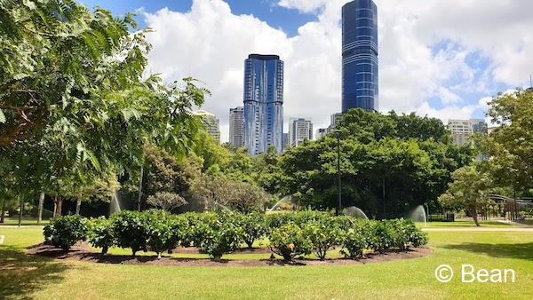 ブリスベンシティー植物園