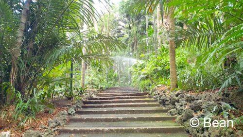 ブリスベンシティー植物園