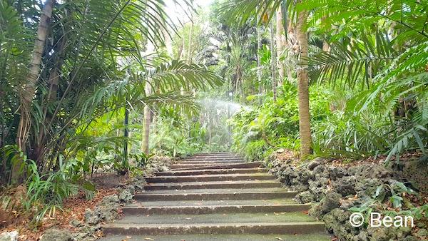 ブリスベンシティー植物園