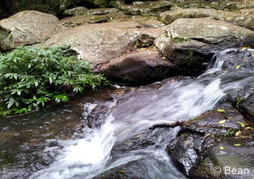 ラミントン国立公園