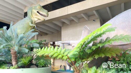クイーンズランド博物館