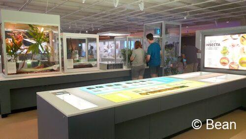 クイーンズランド博物館