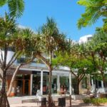 ヌーサ観光 見どころ noosa (1)