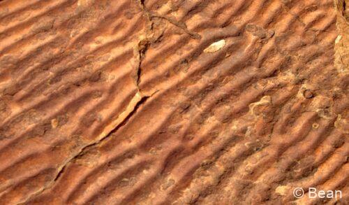 キングスキャニオン　オーストラリア