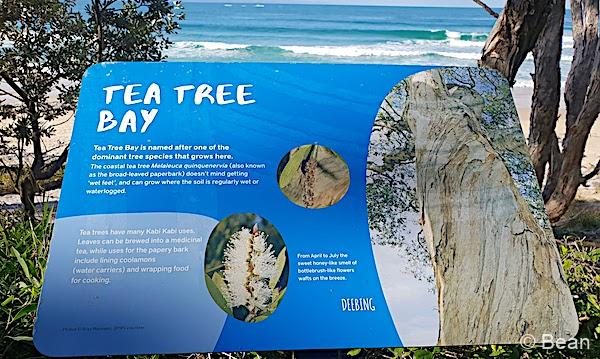 ヌーサ国立公園　Noosa National Park Tea Tree Bay