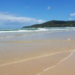 サンシャインコースト ビーチ