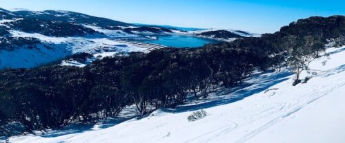 オーストラリア　冬観光　スキー