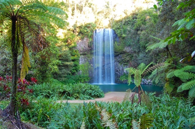 アサートン高原　ミラミラ・フォールス
