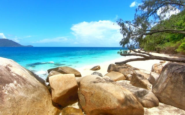 フィッツロイ島