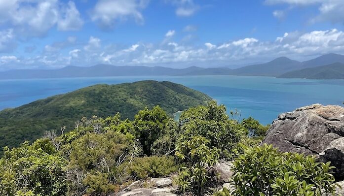 フィッツロイ島