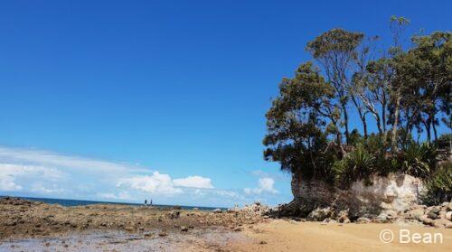 Scott's Point Cliff Redcliffe レッドクリフ