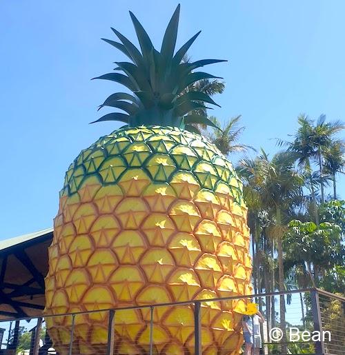 big pineapple