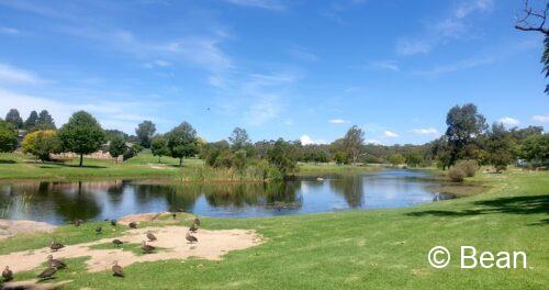 スタンソープ　散歩道